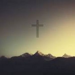 Meet your Posher, Shealyn wilson